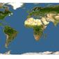 Discover Life: Point Map of Anonyx ochoticus